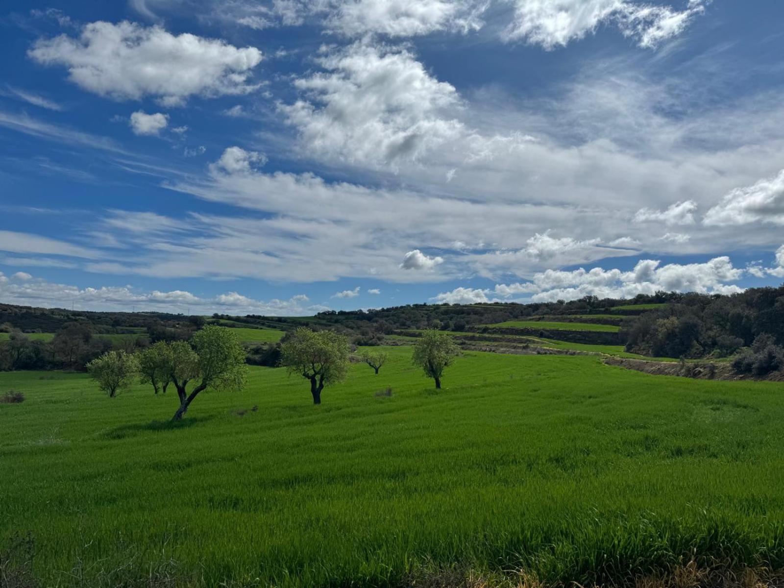 Masia De Queralt Luxury Casa Rural Spa Y Vistas Concabella Экстерьер фото